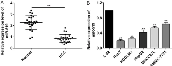 Figure 1. miR-519 expression was downregulated in hepatocellular carci-morous livers tissues