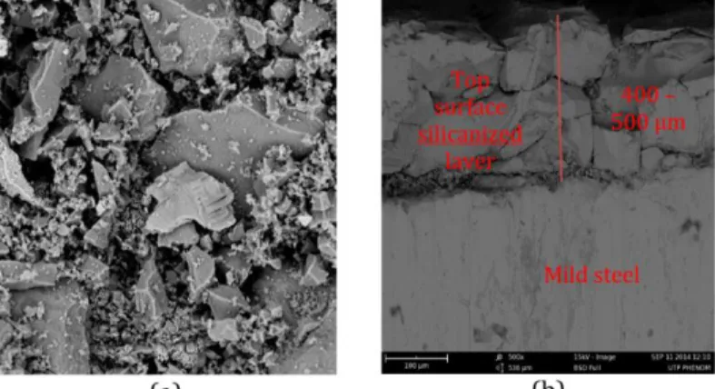 Figure 1: Camera ready photo of the silicanizing process at 1000°C for 4 hours. 