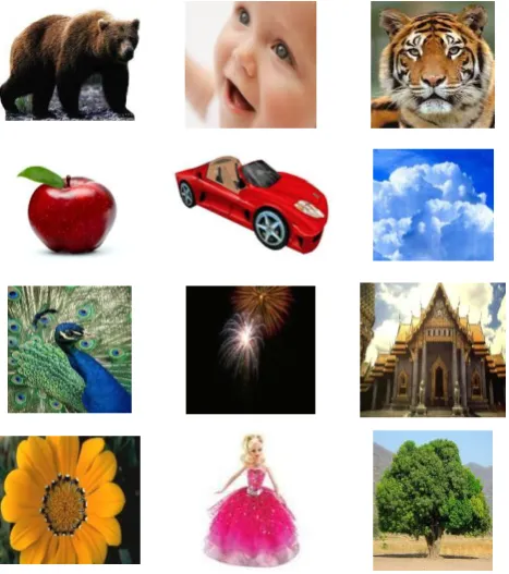 Figure 1: Sample images from the database 