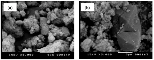 Figure 9. SEM micrographs of (a) S and (b) D mixtures hydrot- hermally treated at 180˚C for 5 hours and calcined at 750˚C for 3 hours