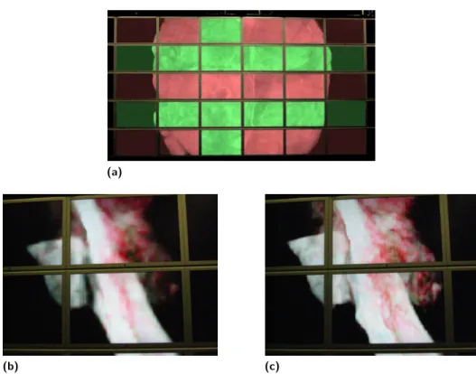 Figure 6 Multi-resolution volume rendering on a 200 megapixel display wall: (a) tiles display at different levels of detail, (b) mandible data set displayed at wavelet level 1 (corresponds to 1/8 = 12.5% level of detail), (c) mandible data set displayed at