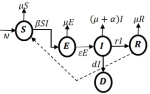 Figure 1. The schematic illustration of the SEIRD model. 