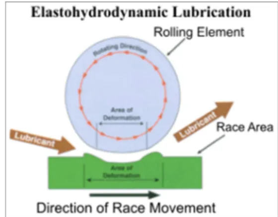 Figure 1. Geometry before deformation. 