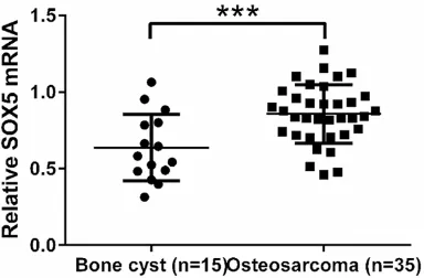 Figure 1. SOX5 was overexpressed in osteosarcoma tissues. The mRNA level of SOX5 in osteosarcoma and bone cyst tissues collected from patients ad-mitted to Department of Orthopedics, Zhongnan Hospital of Wuhan University was detected by real-time PCR