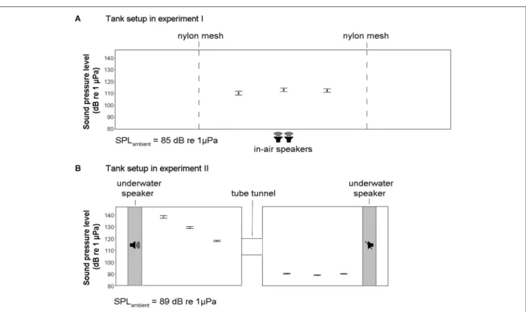 FIGURE 2 | Schematic diagrams of the tanks for the experimental set-up of experiment I and II with SPL measurements across several