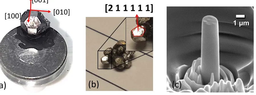 Fig. 1 (a) Optical photograph of YCd6 QCA single crystal. The crystallographic direction can be 