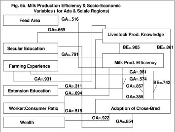 Fig. 6b. Milk Production Efficiency & Socio-Economic