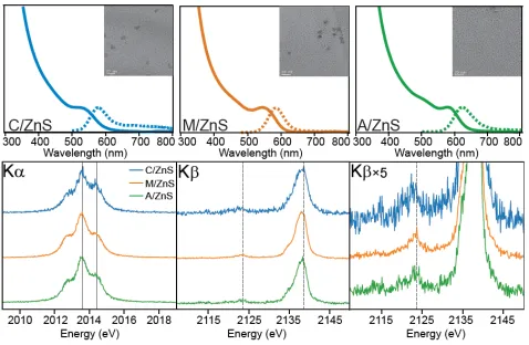 Figure 5. The final absorbance (solid) and PL (dashed) trace C/ZnS,  M/ZnS, and A/ZnS with TEM image insets (20 nm scale bar) of puri-fied material (top)