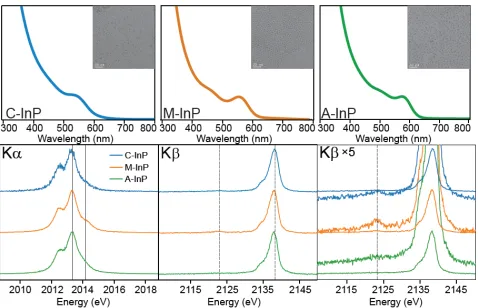 Figure 3. The final absorbance trace (top) of C-InP, M-InP, and A-InP  with TEM image insets (20 nm scale bar) of purified material