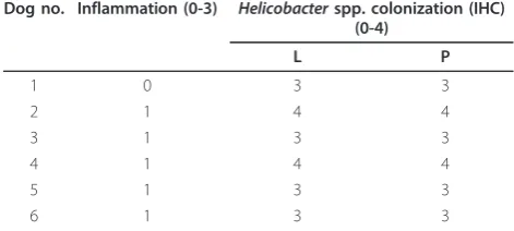 Table 2 Gastric inflammation and Helicobacter spp.colonization of fundic mucosa in 6 laboratory Beagledogs infected by Helicobacter spp