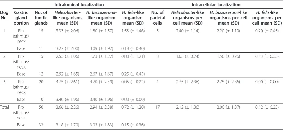 Table 3 Helicobacter spp. load in gastric glands and parietal cells evaluated by electron microscopy