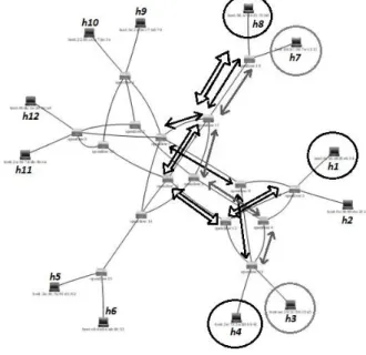 Figure 8. Network from Floodlight API Web.