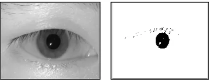 Figure 1:  Sample iris image from MMU database with pupil isolation by threshold. 