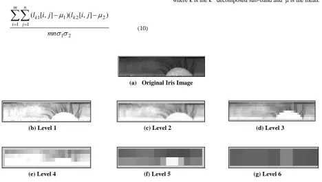 Figure 4:  (a) Original normalized iris (b)-(g) approx coefficients of first to sixth sub-band decomposition levels 