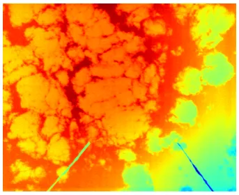 Figure 2. An example of the IR camera image. The raw ADCoutput is shown without calibration.