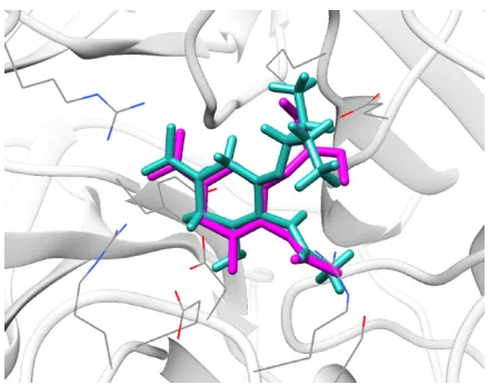 Figure 2 gives information about binding modes for all N9_R294K–inhibitor interactions