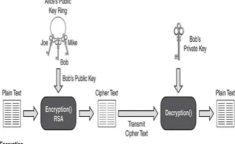 Fig  3: RSA Algorithm 