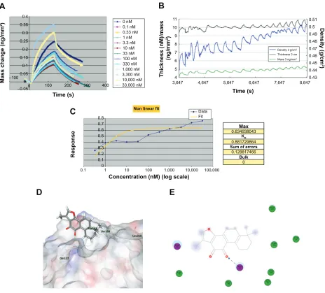 Figure 3 Binding affinity and docking simulation of T2A–APE1 interaction.Abbreviations:Notes: (A) real-time DPi measurements of change in mass of immobilized aPe1 protein after injection of increased concentrations of T2a