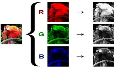 Figure 3: RGB color s and related with Grayscale 