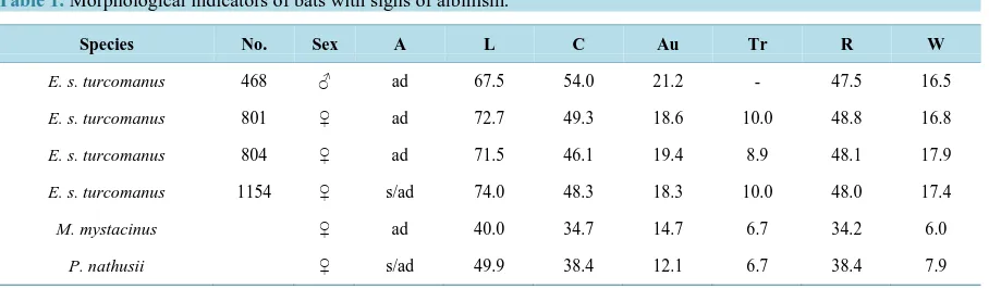 Table 1. Morphological indicators of bats with signs of albinism.                                                       