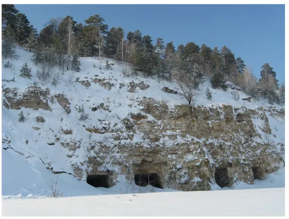 Figure 6. Artificial underground (tunnel) in the Samarskaya Luka: Wintering Myotis mystacinus (photo by D