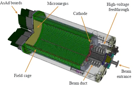 FIG. 2. Differential cross sections of