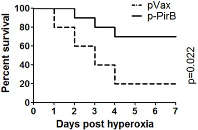 Figure 3. Overexpression of PirB in the lungs of rat. The rats were intravenously injected with the plasmid DNA (pVax or p-PirB) and cationic liposome in 300 µl of 5% glucose