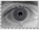 Fig.1. Typical iris recognition schemes 