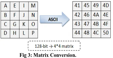 Table 1: Rotation Table 