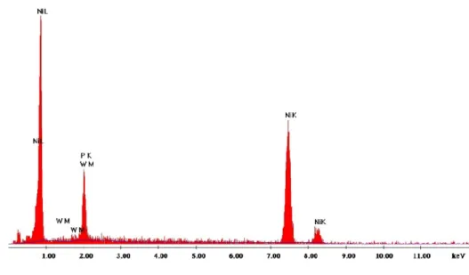 Figure 7: EDX spectrum of as-deposited electroless Ni-P-W coating 