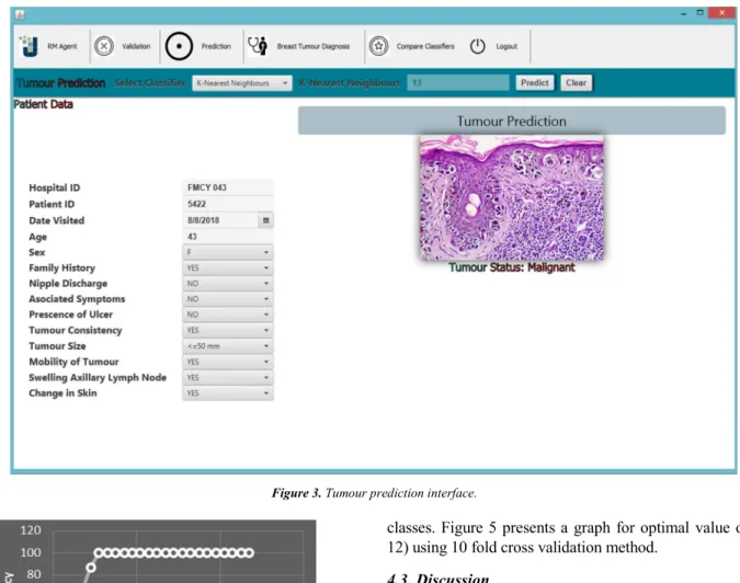 Figure 3. Tumour prediction interface. 