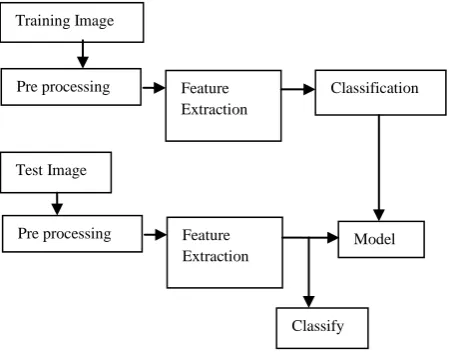 Fig 1: Overview of the Proposed Method 