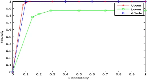 Fig 7: ROC Curve for Upper, Lower and Whole Regions 