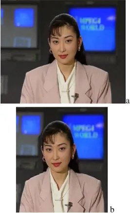 Fig. 2 Segmented video 