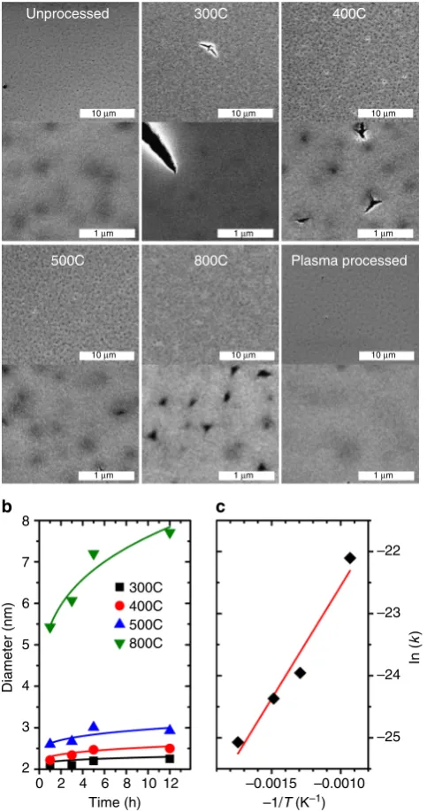 Fig. 4 Surface characterization and growth kinetics during calcination.a SEM micrographs of the top surface of the unprocessed, calcined(12 h), and plasma-processed ﬁlms