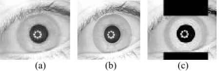 Figure 4.  (a) Image from CASIA database (b) Iris segmented image (c) Collarette segmented image  