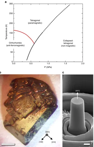 Fig. 1 Intermetallic compound CaFescale bar, 1grown single crystalline CaFe2As2. a The phase diagram of CaFe2As2 in temperature-pressure space12, b an optical microscope image of solution-2As2; scale bar, 1 mm c a [001]-oriented CaFe2As2 micropillar with 2 μm in diameter made by Ga + focused-ion beam milling; μm