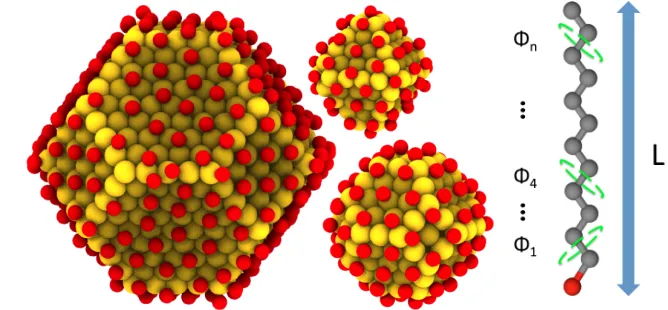 Figure 2:Nanocrystal cores Au1289(SCj)258 (left), Au201(SCj)80 (bottom right), andAu140(SCj)62 (top right) with Au atoms shown in yellow and S atoms shown in red