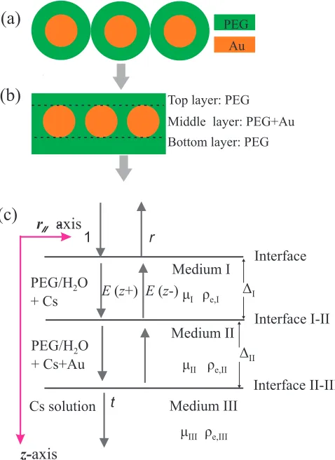 FIG. 6. (a) Illustration of a single planar layer of PEG-AuNPs
