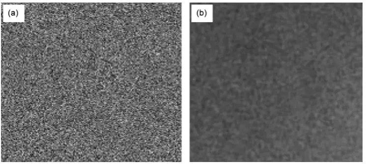 Figure 5. The counts difference in X- and Y-axis direction via phantom lead slits which in turn indicating the difference in photon intensity in X- and Y-axis direction