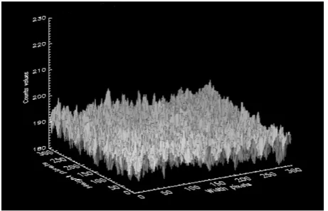 Figure 7. The point spread function of flood field uniformity obtained by developed phantom and analyzed by IDL pro-gram (X, Y and Z are the pixel width, pixel length and the counts respectively)
