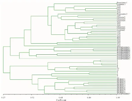 Figure 3. Dendrogram of genetic similarity. The hams analyzed (Prosciutto 1 and Prosciutto 2) show a genotypic profile corresponding to the CS breed detaching from other pig breeds listed in Table 1