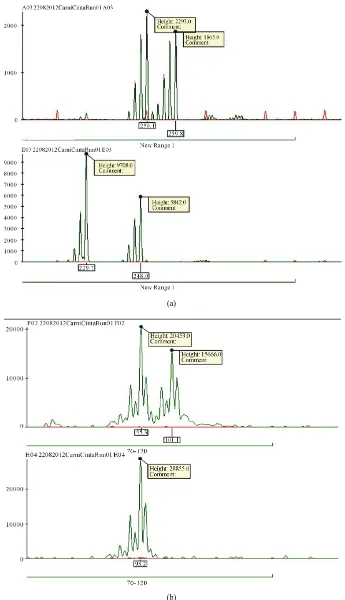 Figure 1. Typical electropherogram images. CS meat DNA amplification at S0068 locus (upper line, (a)) compared to the white pig meat profile (lower line, (a))