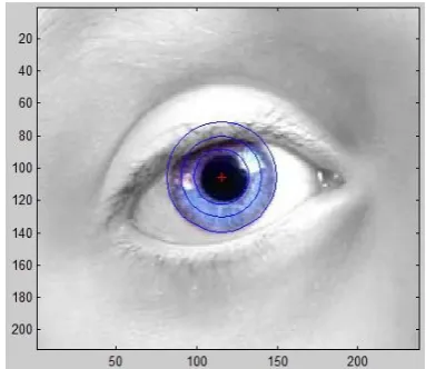 Fig 6: The output of image processing function returning the cornea with a red crosshair at the center 