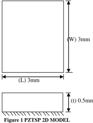 Figure 1 PZTSP 2D MODEL   