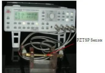 Figure 7 PZTSP Sensor 3-D view to account the output termination. 