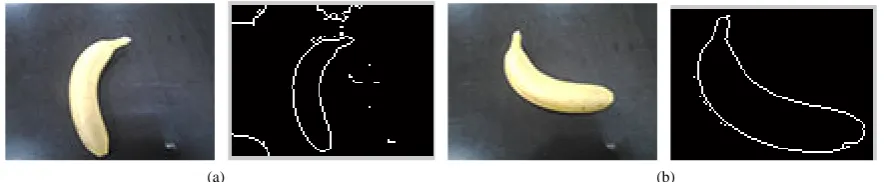 Figure 1(b)of the weak illumination change, after a series of operations, there is less noise in the extracted image