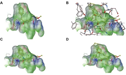 Figure 7 ligands in the active site of cOX-1.Notes: (A) showing 3c in the active site of cOX-1 (without active site residues)
