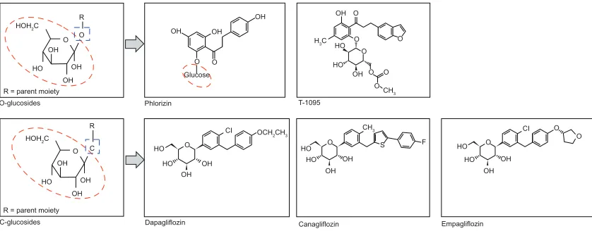 Figure 3 Structure of phlorizin and candidate SGLT2 inhibitors.Abbreviation: SGLT, sodium glucose co-transporter.