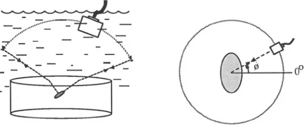 Fig. 3 Schematic data acquisition. Fig. 4 View-angles of the spheroidal void. 